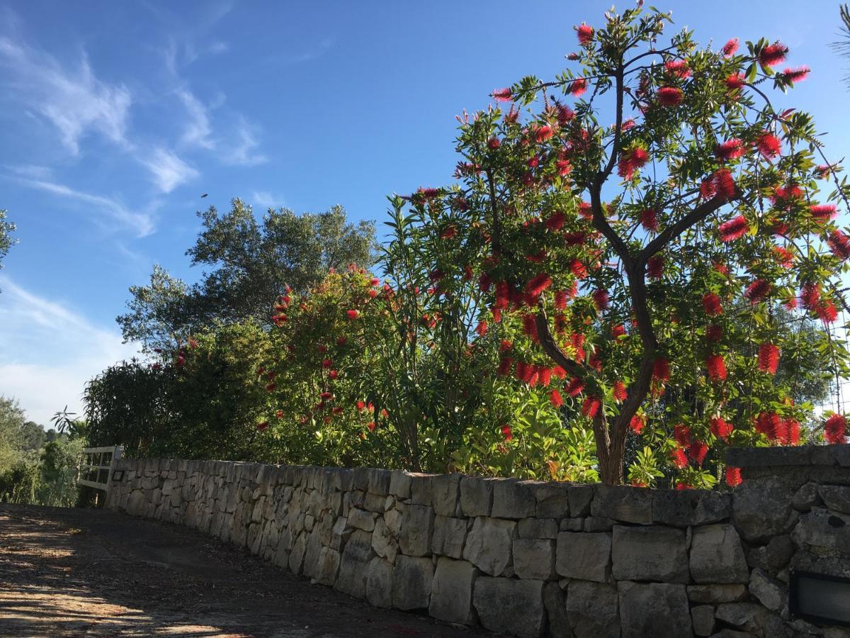 Il Quieto Uliveto Villa Ostuni Buitenkant foto