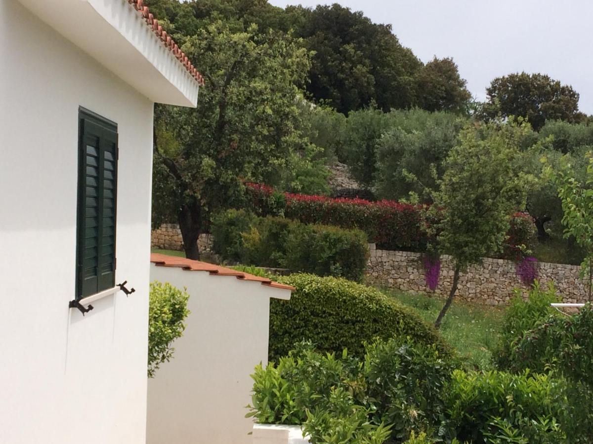 Il Quieto Uliveto Villa Ostuni Buitenkant foto